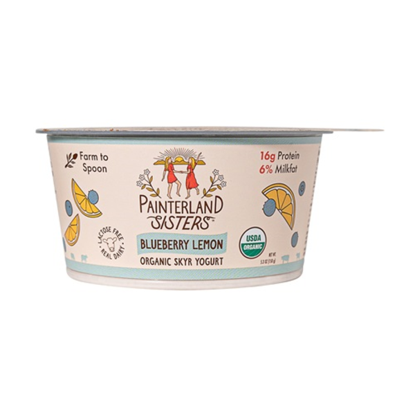Painterland Sisters Organic Blueberry Lemon Icelandic Style Skyr Yogurt